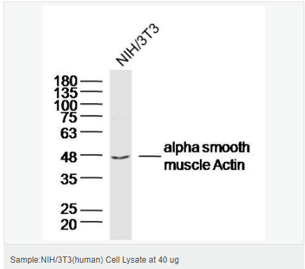 6052ae67a1113.png image.png