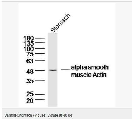 6052aea217ce3.png image.png