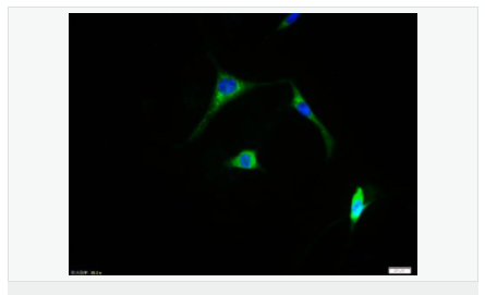 60584c9d16ffc.png image.png