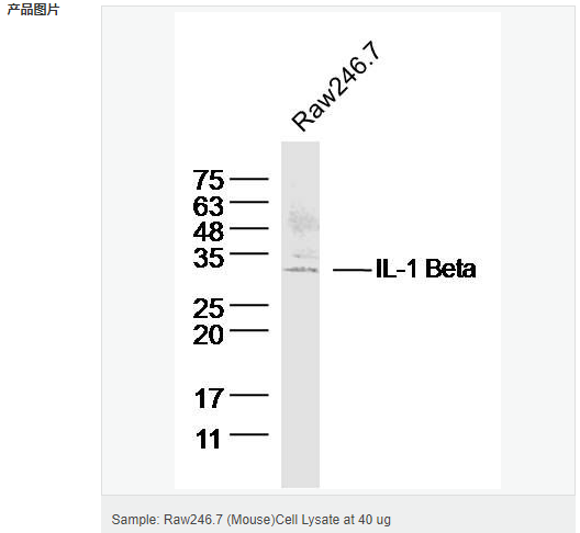 605953bad52f7.png image.png