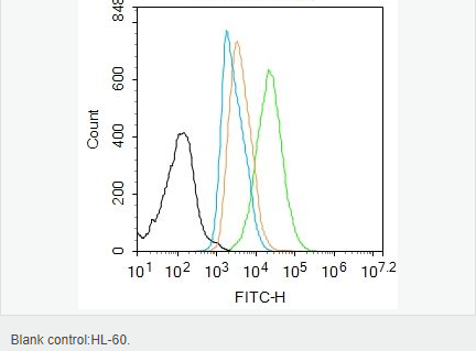 606686ff0236a.png image.png