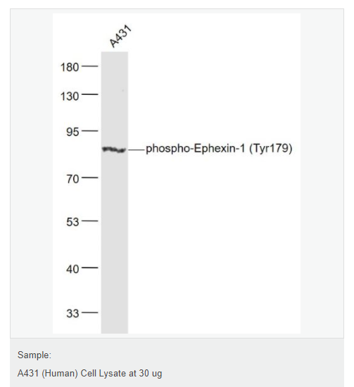 6078e0f6df42d.png image.png