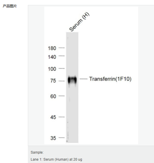 60794dcf949dc.png image.png