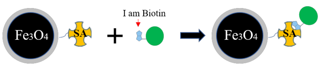 64817ae429d4f.png image.png