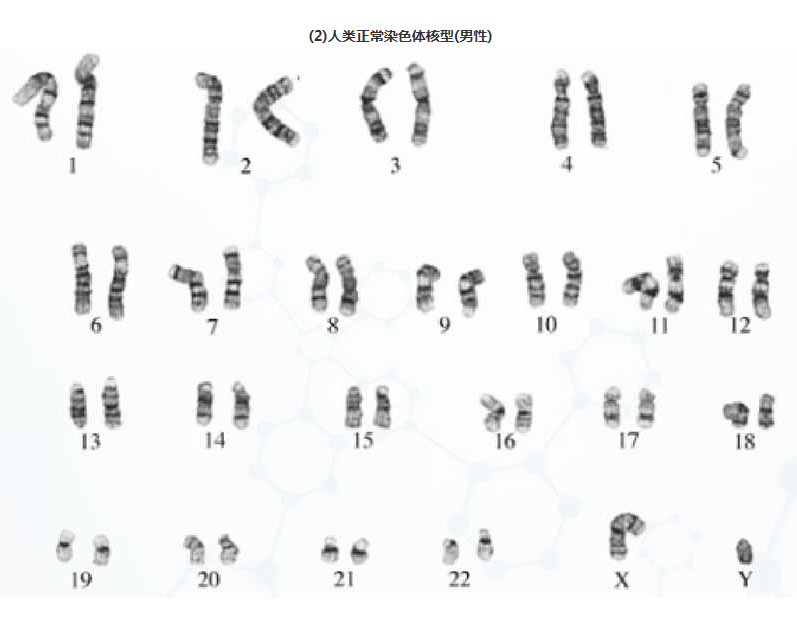 68ea10e559ed9.png image.png