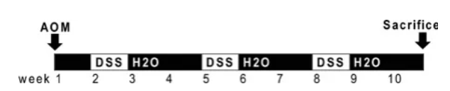 6960ae88d39c5.png image.png