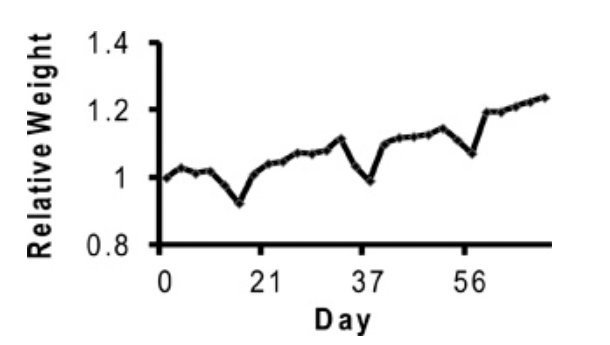 6960aea1e2c13.png image.png