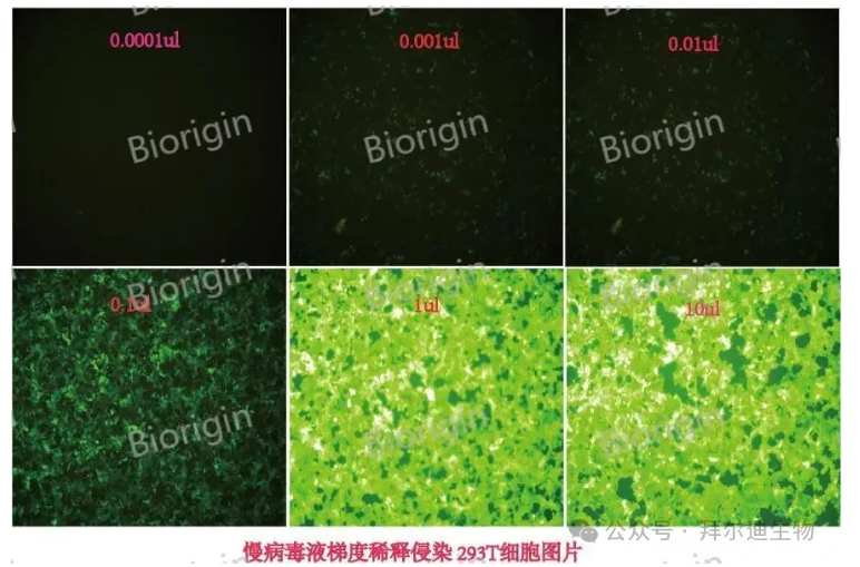 6a7d721ea7d06.png image.png