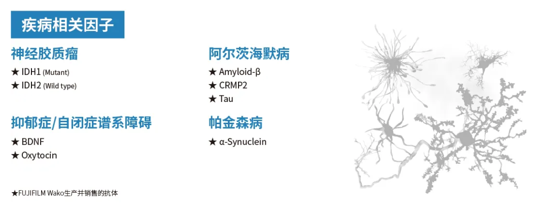 6a952c165a7ca.png image.png