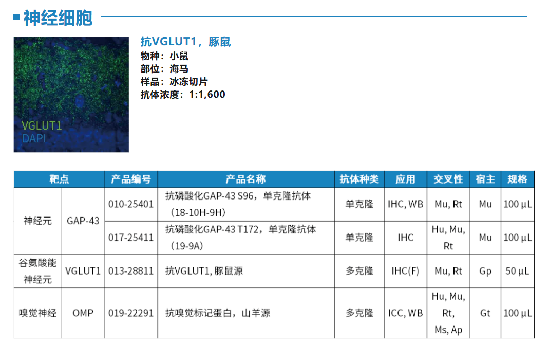 6a952c3092dd0.png image.png