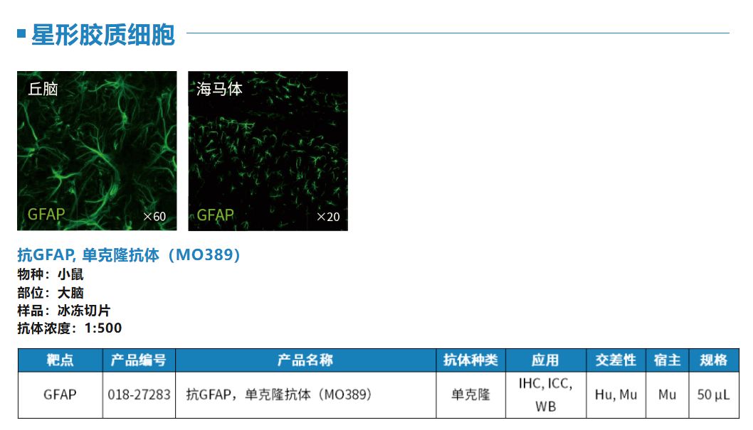 6a952c482cb12.png image.png
