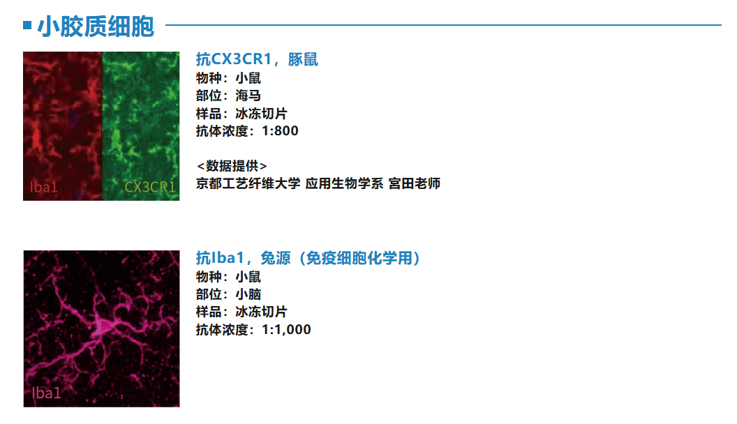 6a952c5ee793f.png image.png