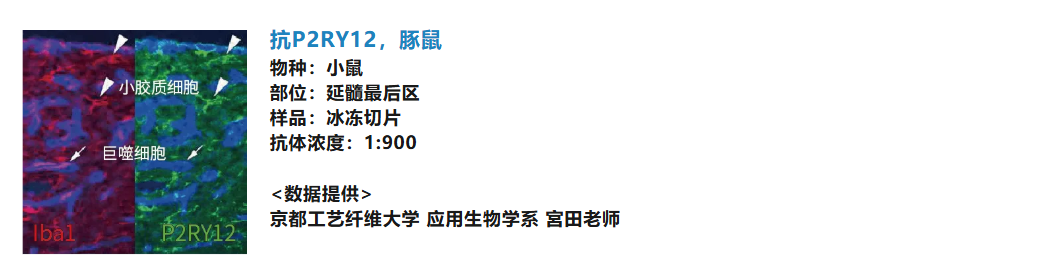 6a952c70678e1.png image.png