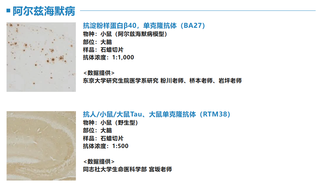 6a952ca6a863f.png image.png